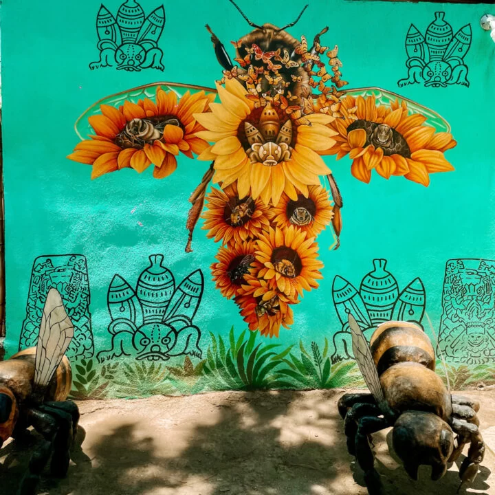 Mundo de Abejas Mayas